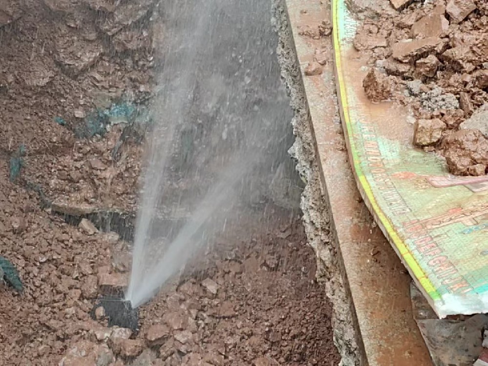 消防水管漏水检测定点开挖哪家好-清城
